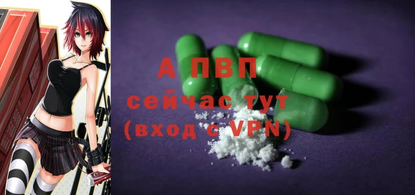 PSILOCYBIN Аркадак