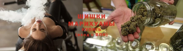 PSILOCYBIN Аркадак