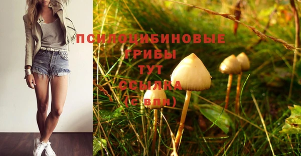гидропоника Армянск