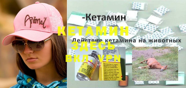 PSILOCYBIN Аркадак