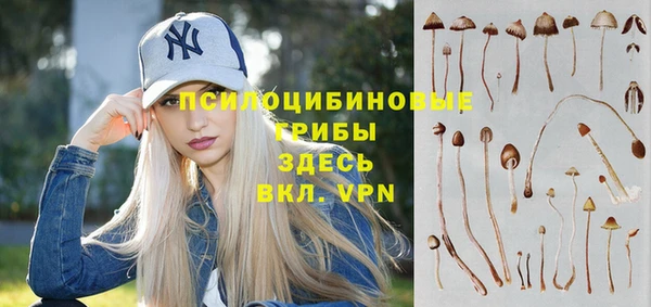 PSILOCYBIN Аркадак
