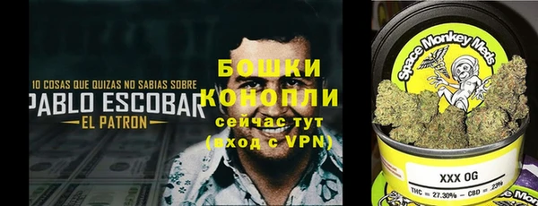 каннабис Арсеньев