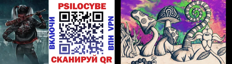 ОМГ ОМГ ссылки  Красково  Псилоцибиновые грибы Psilocybine cubensis 